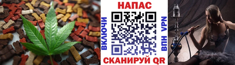 OMG ссылки  Сураж  Печенье с ТГК конопля  магазин продажи  