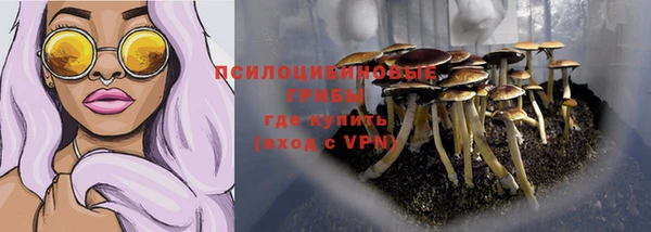 стаф Арсеньев