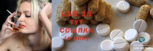 стаф Арсеньев