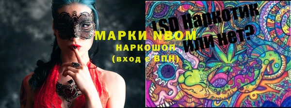 стаф Арсеньев
